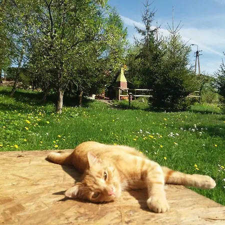 U Piotra Kolo Szczyrku