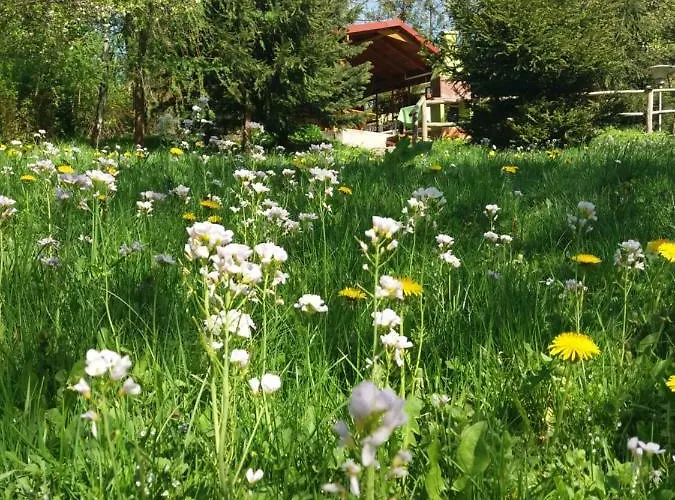 בית נופש U Piotra Kolo Szczyrku *