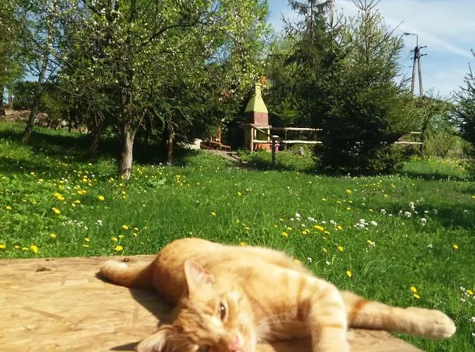 U Piotra Kolo Szczyrku